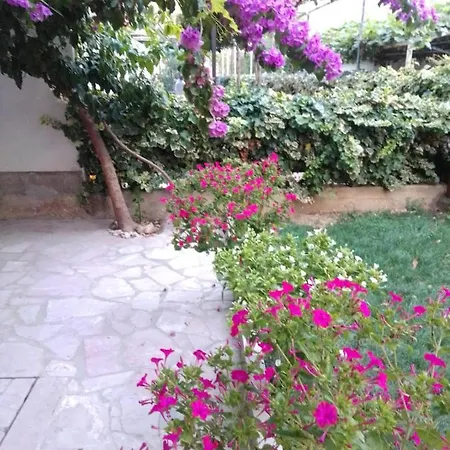 Apartment Andelka