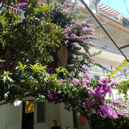 Andelka * Omis