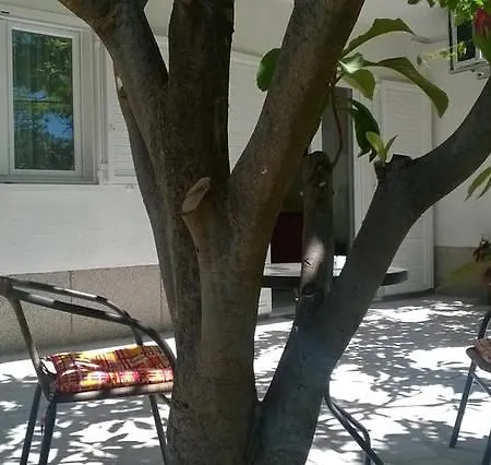 Apartman Anđelka *